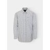 Camisa Alan Paine Ikley check green/brown