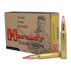 HORNADY CUSTOM SP