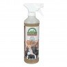 ATRAYENTE AROMA BELLOTA