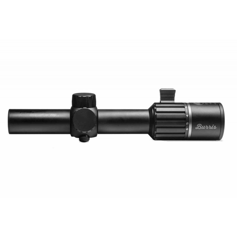 Visor Burris RT6 1-6x24 R4