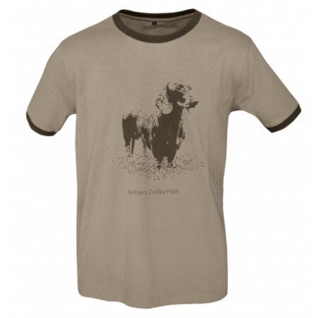 CAMISETA BENISPORT TECKEL