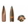 Federal 30-06 Sprg. Nosler Partition