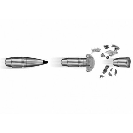 RWS 270 Win. SPEED TIP PROFESSIONAL 140grs