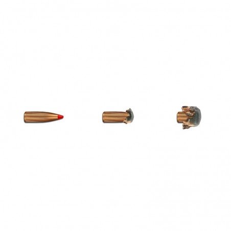 GECO 9,3x62 EXPRESS 254grs