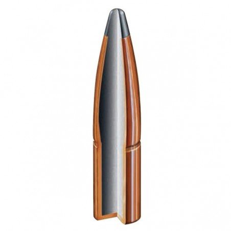 PPU 9,3x62 SP 285grs
