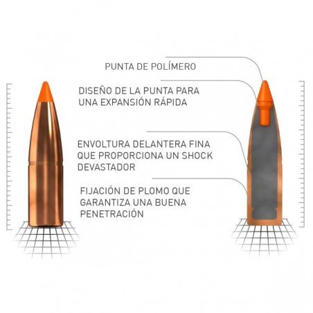 Norma 243 Win. Tipstrike Varmit 76grs