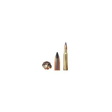 Winchester 308 Win. Extreme Point