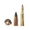 Winchester 308 Win. Extreme Point