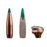 SAKO 270 Win. GAMEHEAD PRO 140grs
