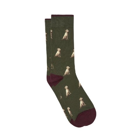 Calcetines Kiff-Kiff Labrador verde