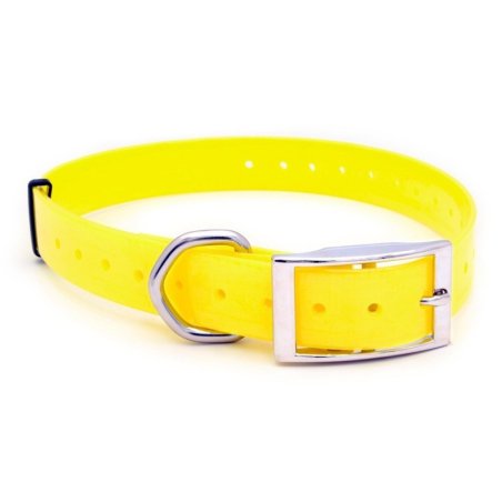 Collar perro Polytec 25mm