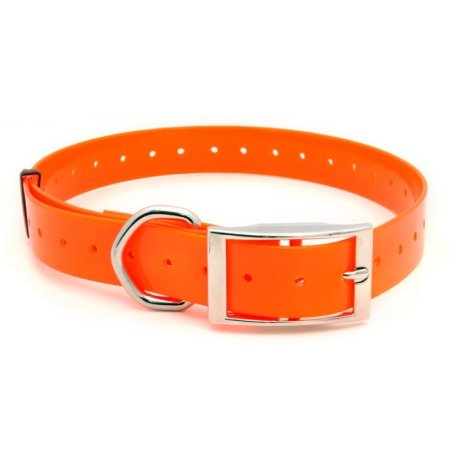 Collar perro Polytec 25mm