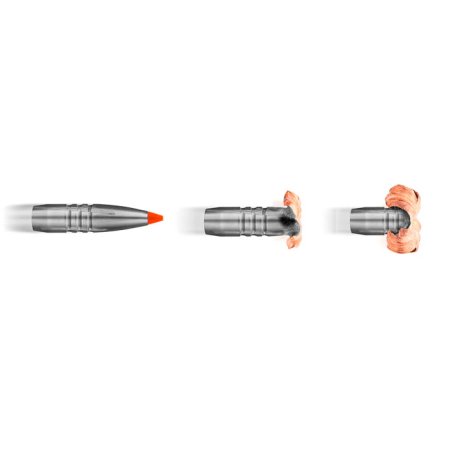 RWS 300 Win. Mag. Hit 165grs